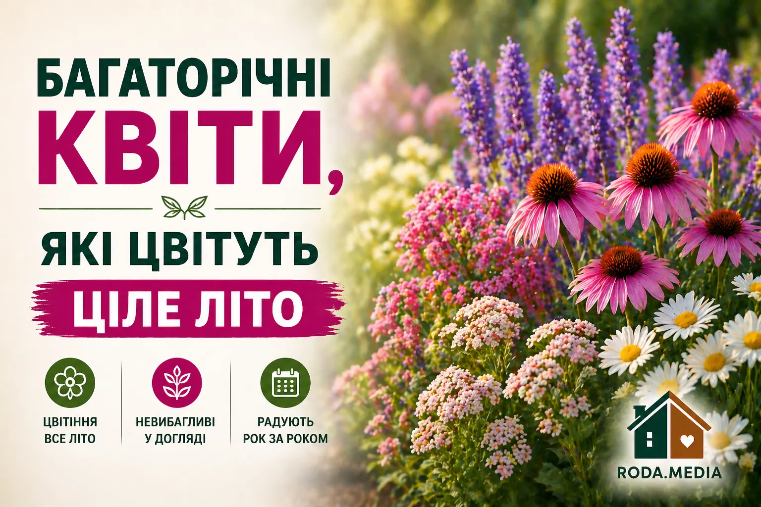 Багаторічні квіти, які цвітуть ціле літо: топ-10 перевірених сортів - Roda Media