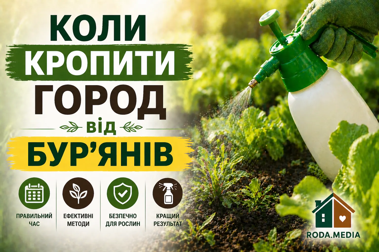 Коли кропити город від бур’янів - Roda Media
