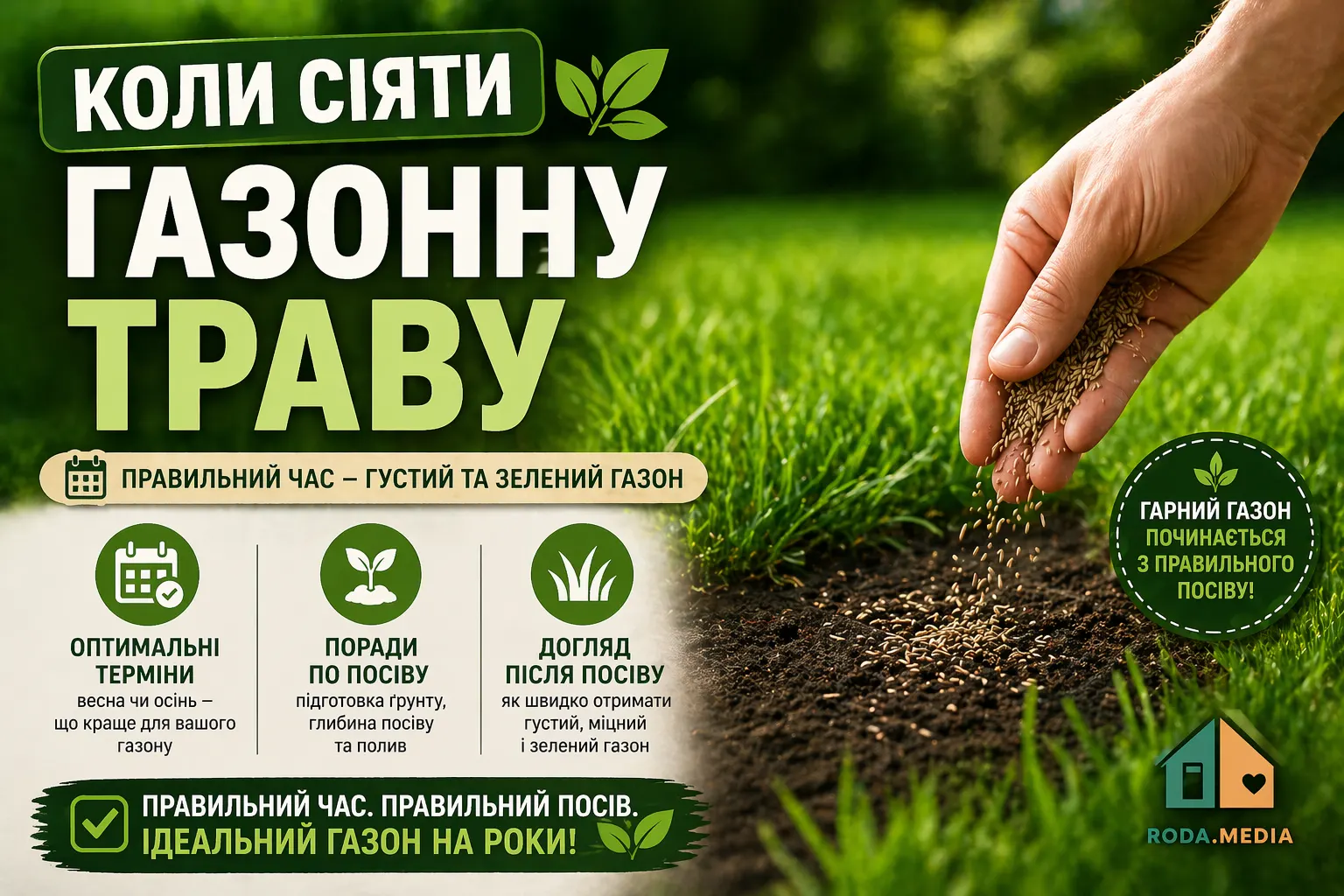 Коли сіяти газонну траву - Roda Media